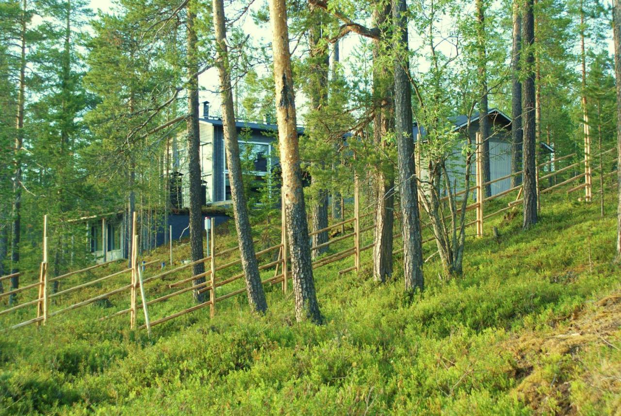 The Little Elk * Ruka